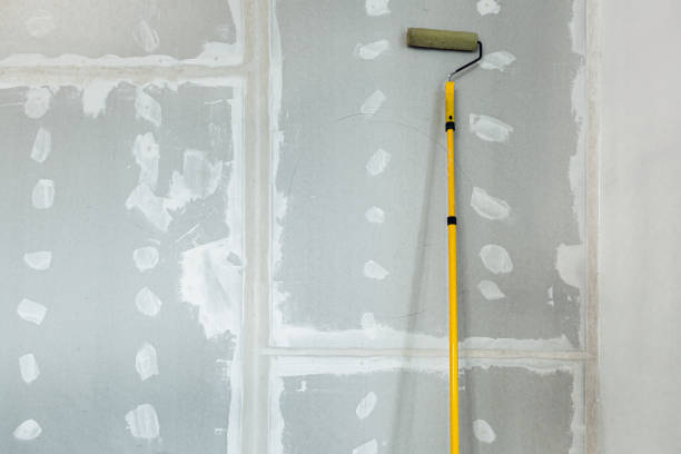 Reliable St Andrews, SC Mold Removal Solutions