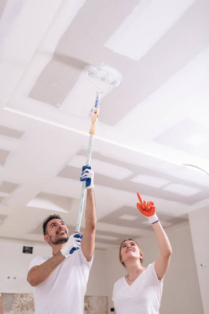 Mold Documentation for Insurance Claims in St Andrews, SC