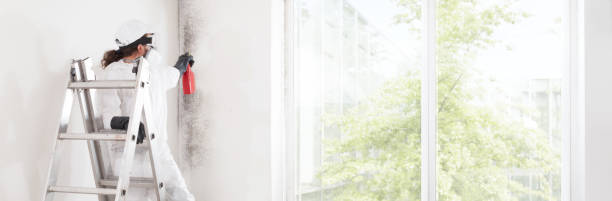 Best Forensic Mold Investigation  in St Andrews, SC