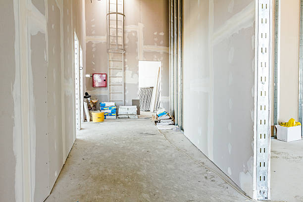 Forensic Mold Investigation in St Andrews, SC