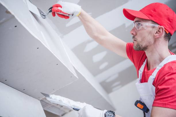 Best Mold Remediation for Rental Properties  in St Andrews, SC